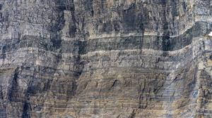 Earth Processes 